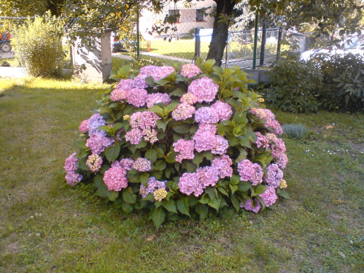 599787 (a): :1600x1200